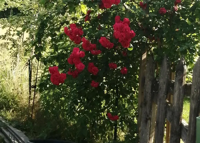 De Chez Jean Sur Deux Etages Bourseigne-Vieille